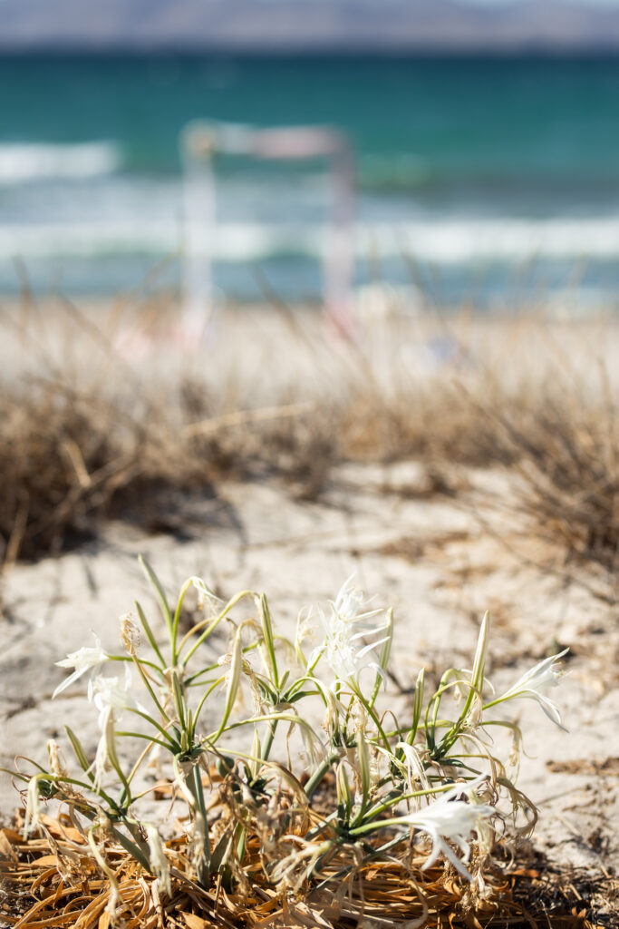 svatba v Řecku na Kosu